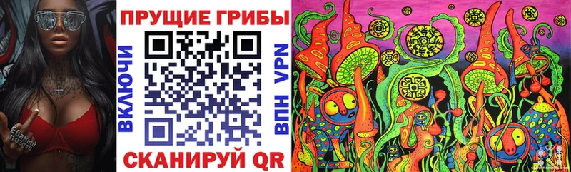 Псилоцибиновые грибы Magic Shrooms наркотики Тимашёвск